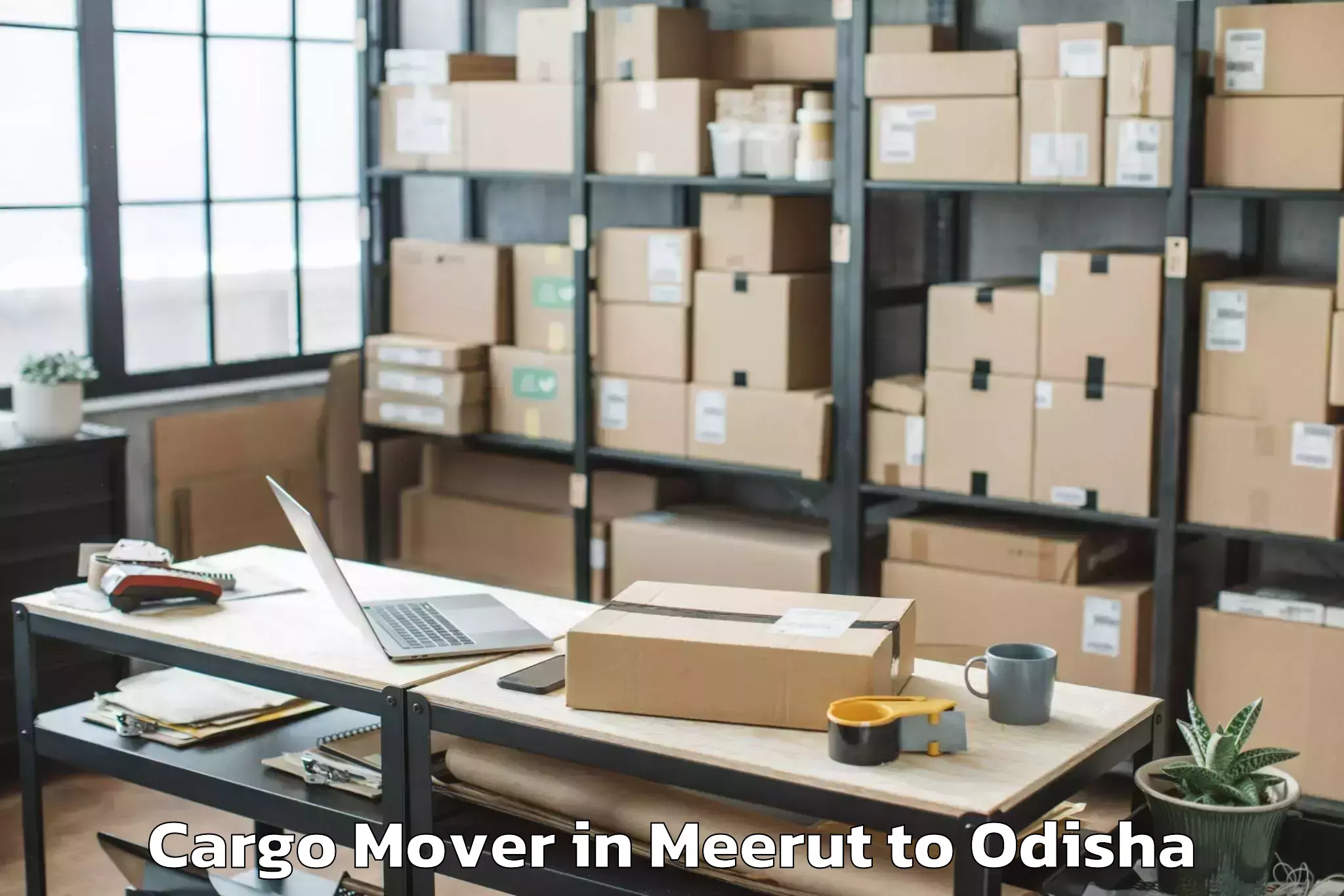 Top Meerut to Odagaon Cargo Mover Available